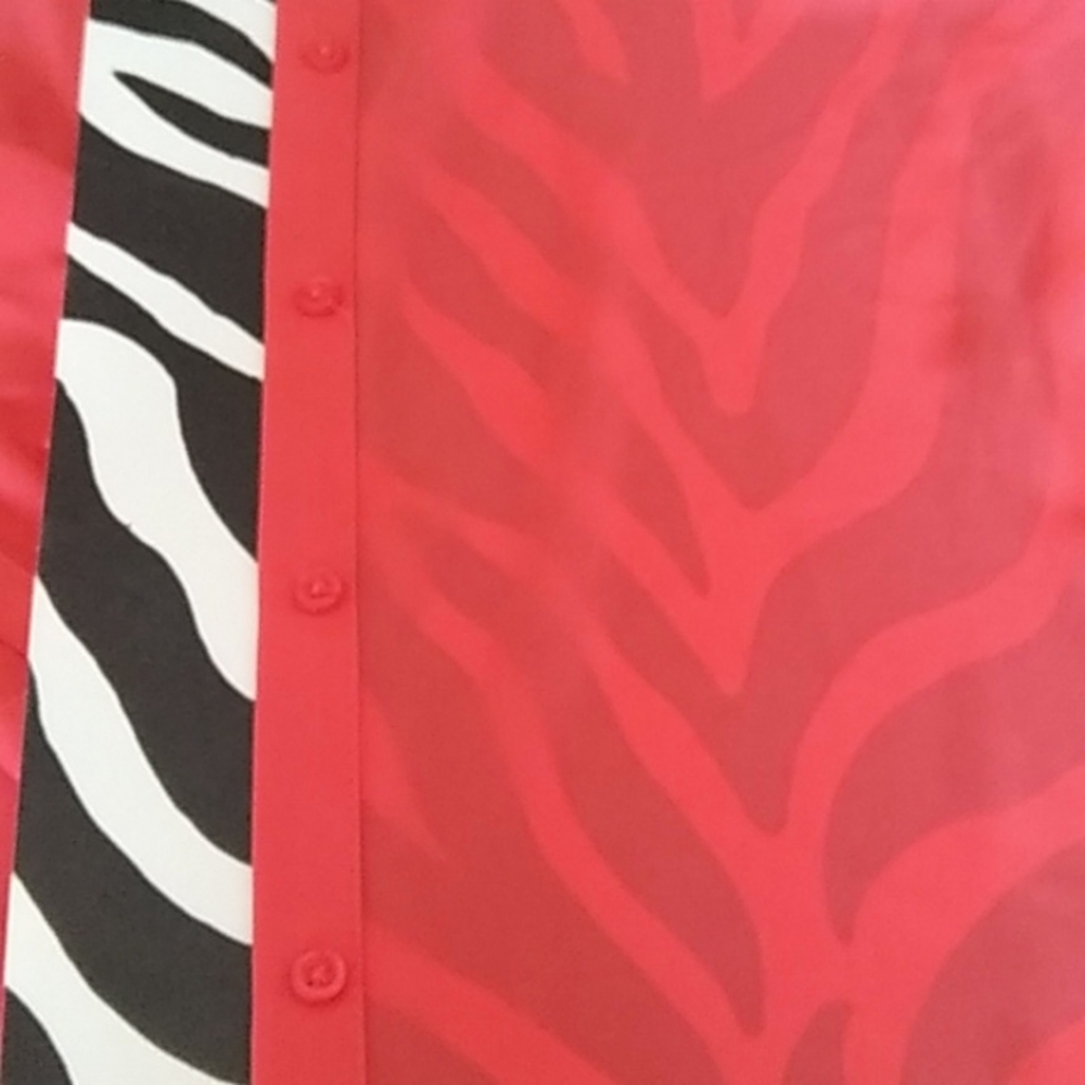 Apt 9 cayenne coral sheer button blouse XLP - Picture 7 of 16
